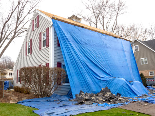 Best Residential Vinyl Siding Installation  in Hamburg, PA